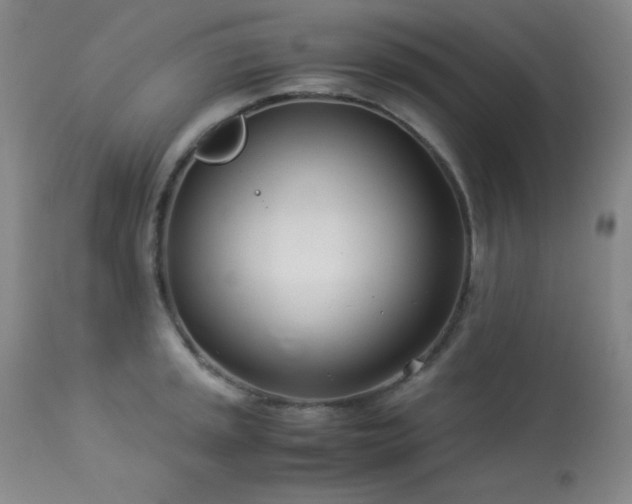 X0000114011045200910021337