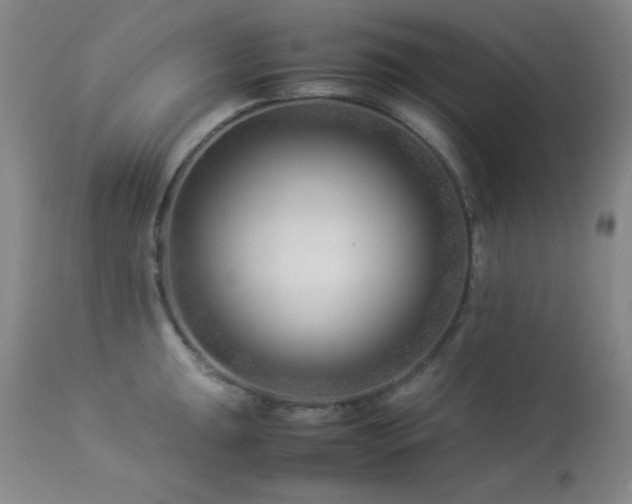 X0000114011047200910021337