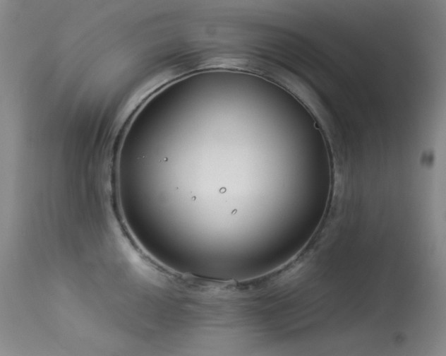 X0000114011050200910021337