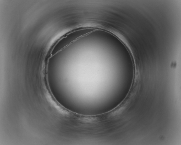 X0000114011053200910021337
