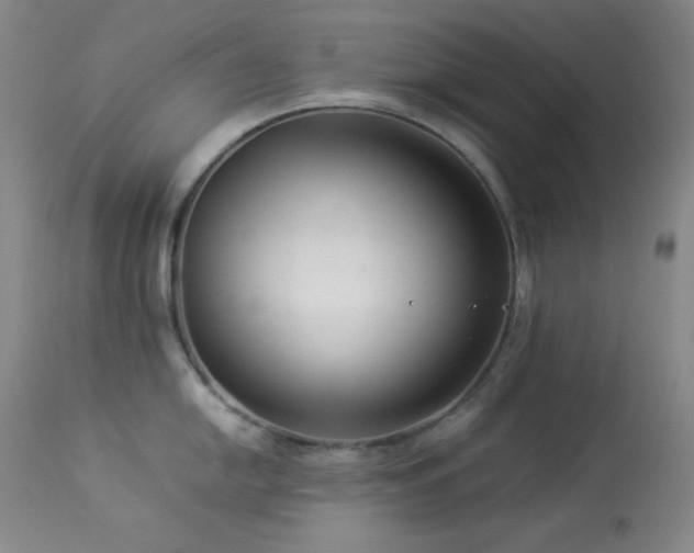 X0000114011054200910021337