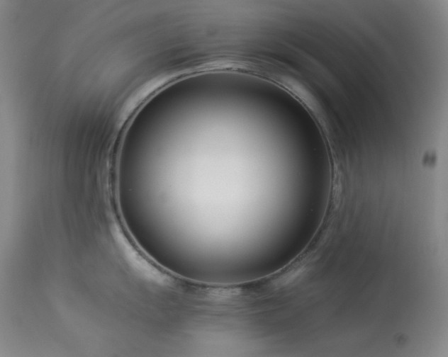 X0000114011055200910021337