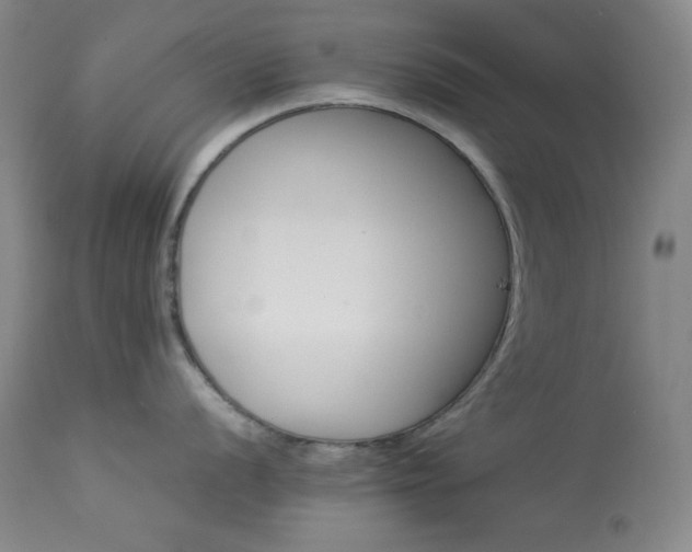 X0000114011056200910021337