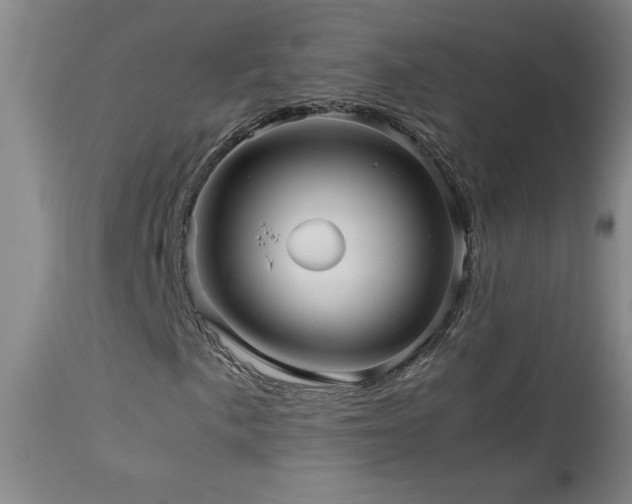 X0000114011057200910021336