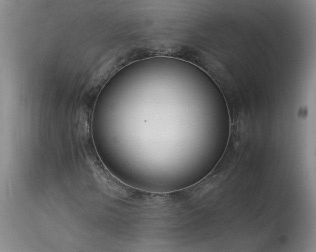X0000114011058200910021336