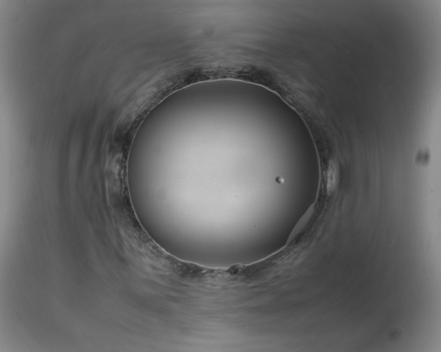 X0000114011059200910021336