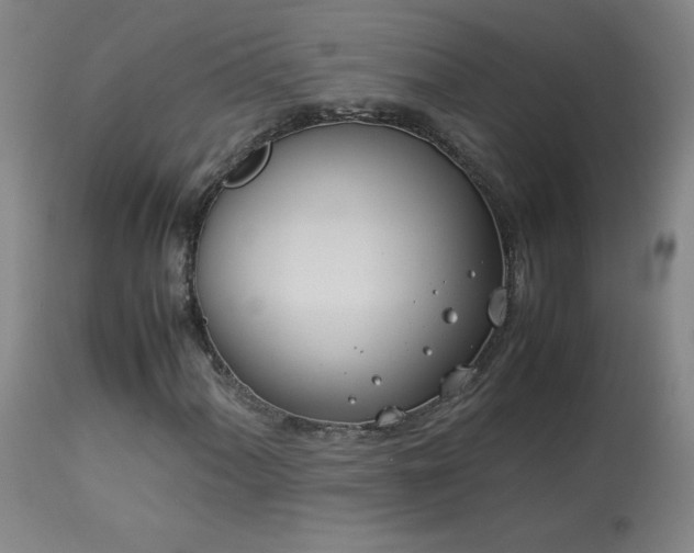 X0000114011060200910021336