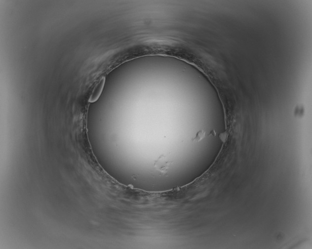 X0000114011061200910021336