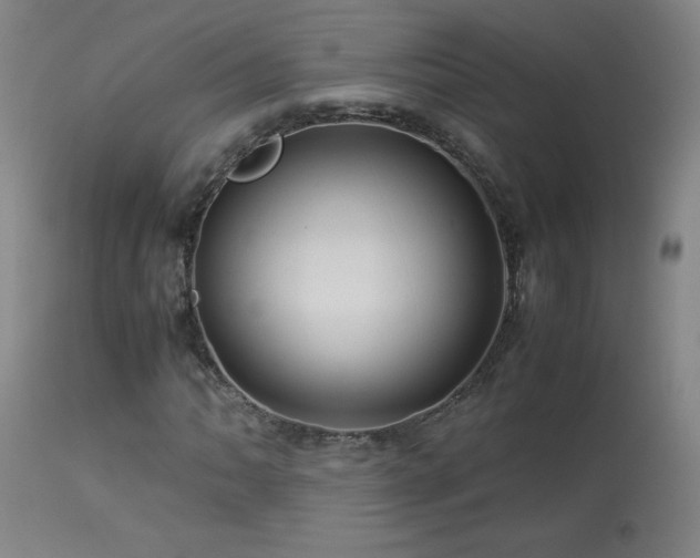 X0000114011062200910021336