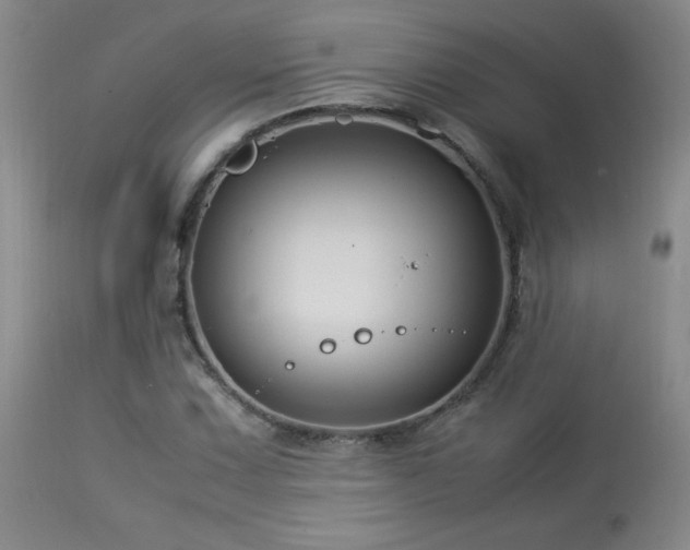 X0000114011067200910021336