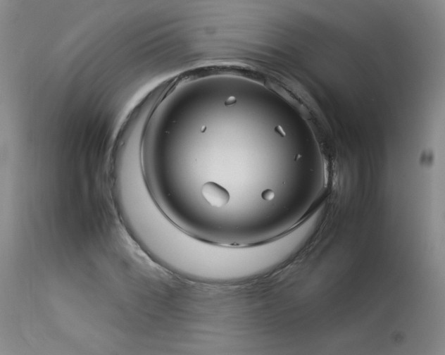 X0000114011068200910021336