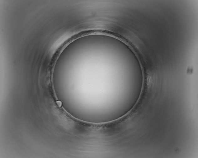 X0000114011069200910021336