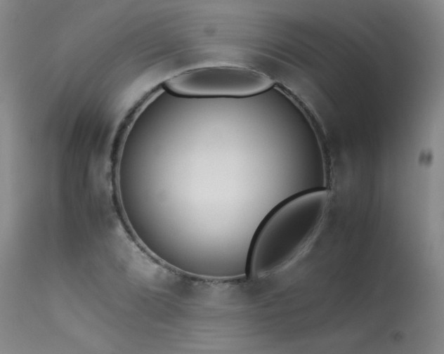 X0000114011072200910021336