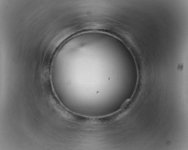 X0000114011073200910021336