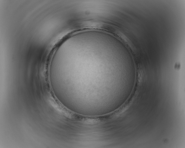 X0000114011074200910021336