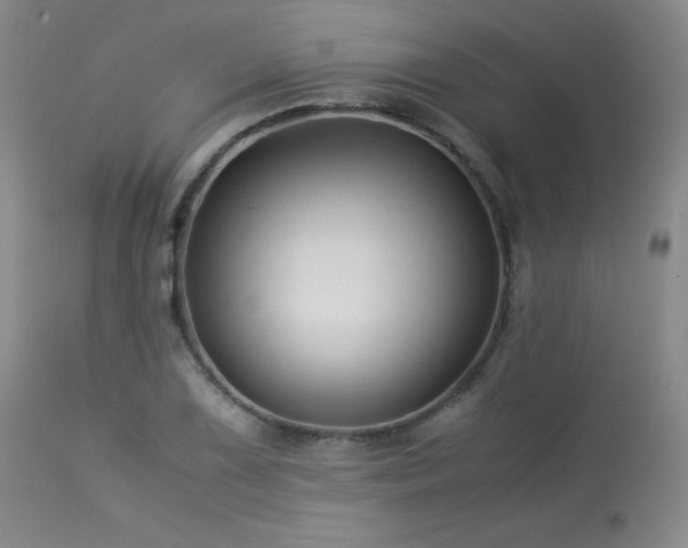 X0000114011075200910021336