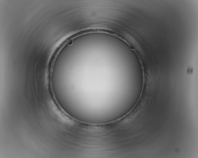 X0000114011076200910021336