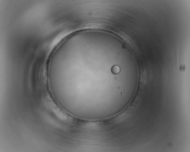 X0000114011078200910021336