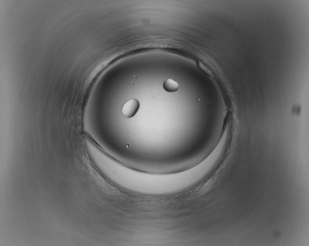 X0000114011081200910021336