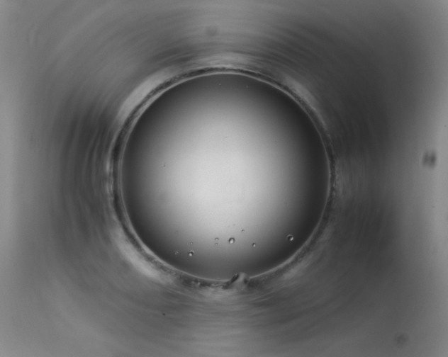 X0000114011082200910021336