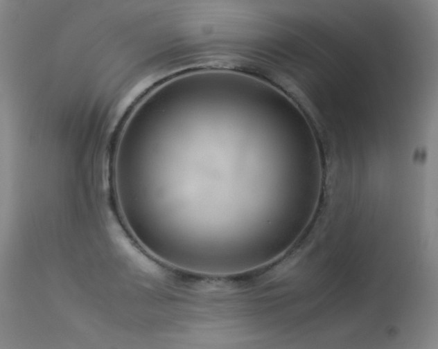 X0000114011083200910021336