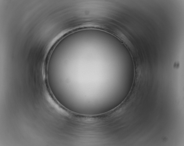 X0000114011084200910021336