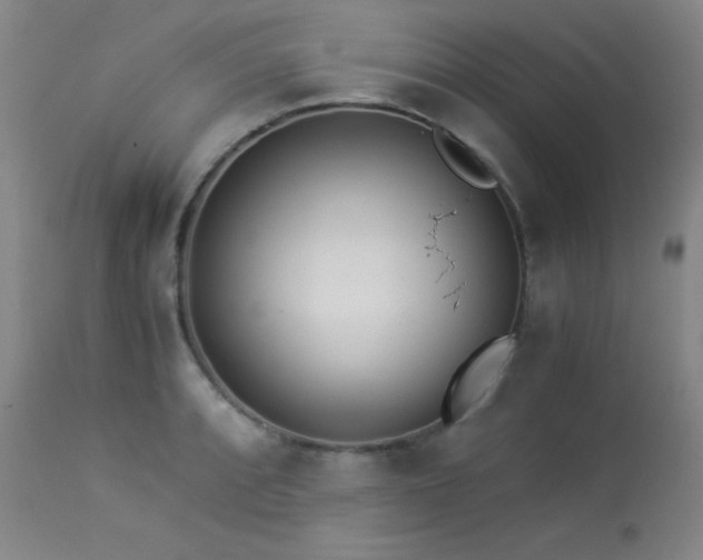 X0000114011088200910021336