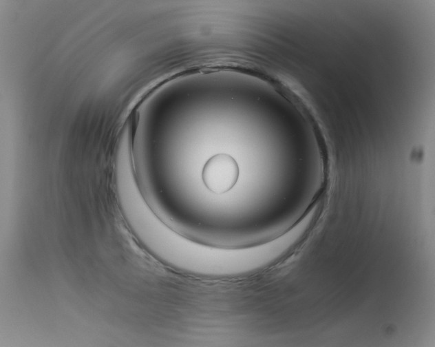 X0000114011089200910021335
