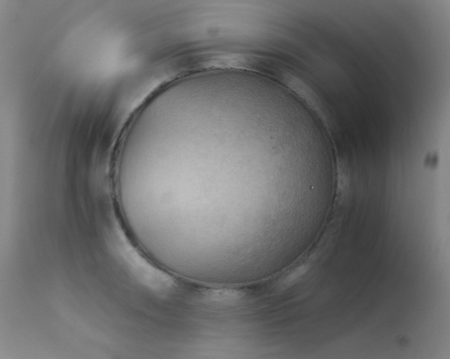 X0000114011090200910021335