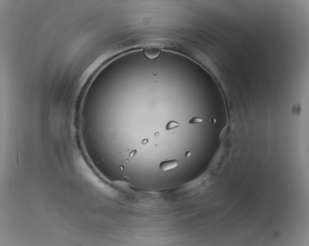 X0000114011091200910021335