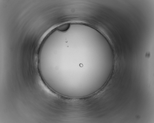 X0000114011092200910021335