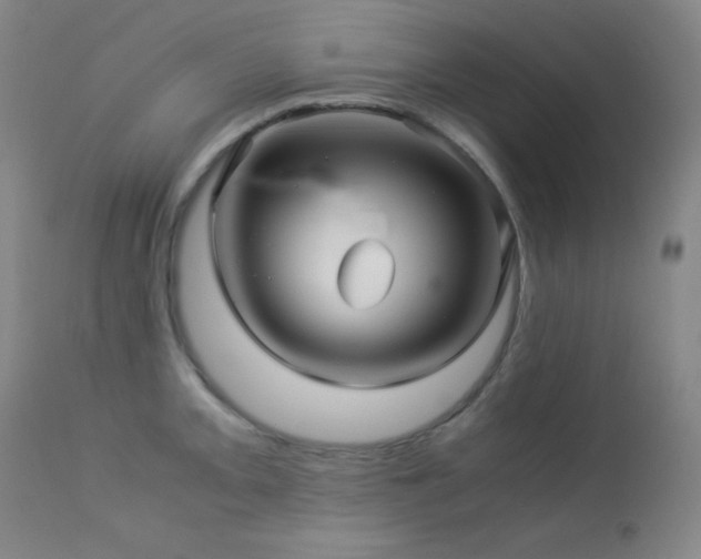 X0000114011093200910021335