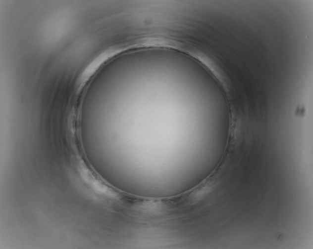 X0000114011094200910021335