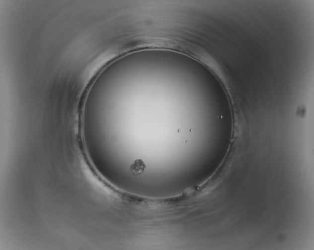 X0000114011095200910021335