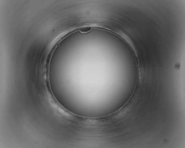X0000114011096200910021335