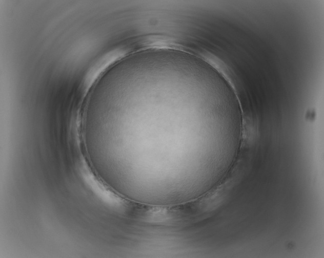 X0000114011098200910021335