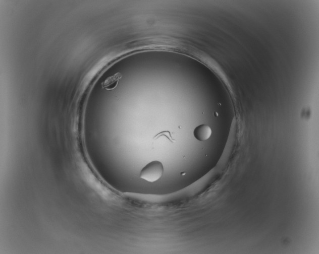 X0000114011099200910021335