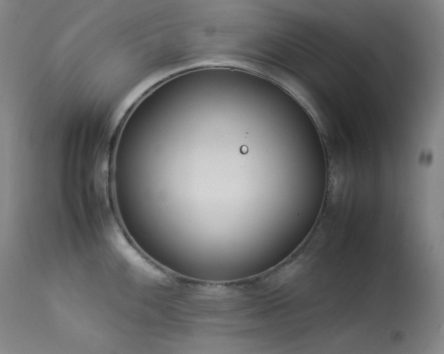 X0000114011100200910021335