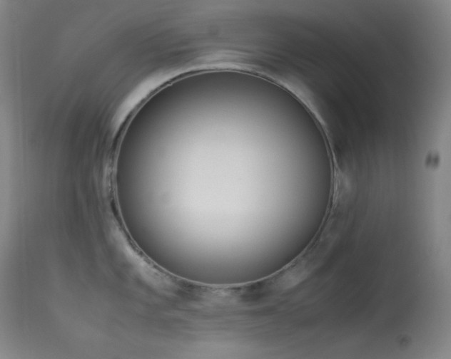X0000114011101200910021335
