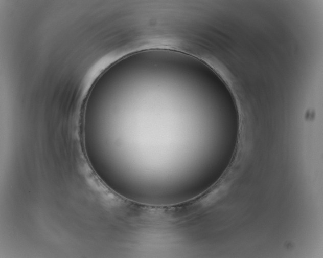 X0000114011104200910021335