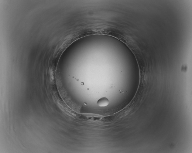 X0000114011106200910021334