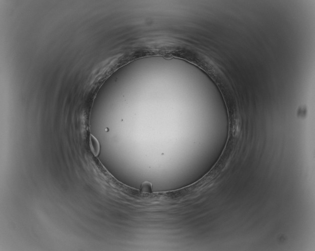 X0000114011108200910021335