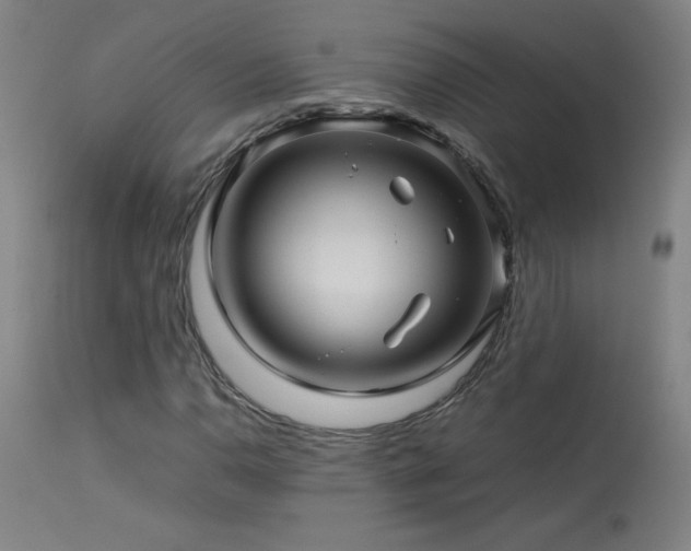 X0000114011110200910021335