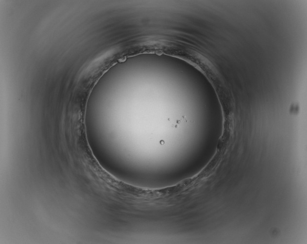 X0000114011111200910021335