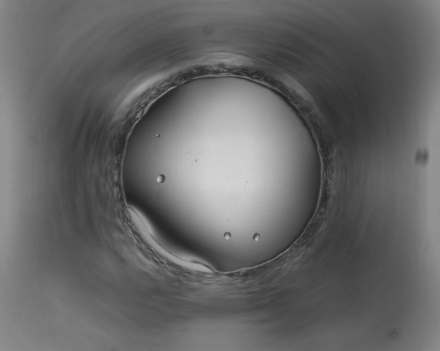 X0000114011112200910021335