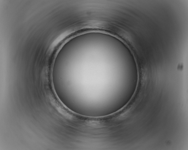 X0000114011114200910021335