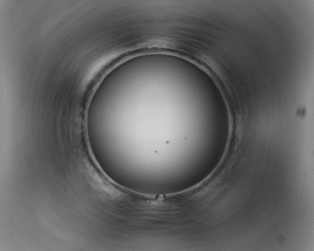 X0000114011115200910021335