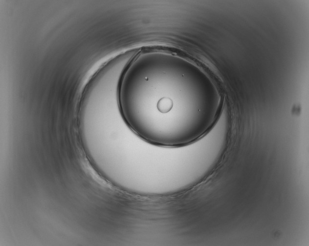 X0000114011116200910021335