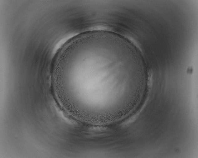 X0000114011117200910021335