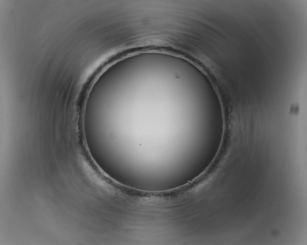 X0000114011118200910021335